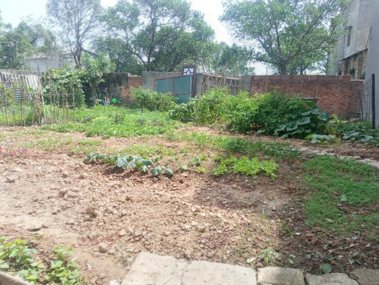 Bán 159.5m² đất Nghĩa Trụ – Văn Giang, đường thông, gần Vin 2-3, 2 mặt tiền