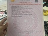 100m đấu giá Ngải Dương Đình Dù Văn Lâm lô áp góc đầy tiềm năng.