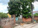 Bán đất Đông Tảo Khoái Châu – 200m2, mặt tiền 15m, ngõ thông ô tô, gần chợ, giá chỉ 2.x triệu/m2