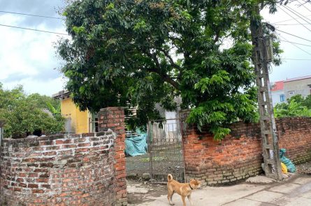 Bán đất Đông Tảo Khoái Châu – 200m2, mặt tiền 15m, ngõ thông ô tô, gần chợ, giá chỉ 2.x triệu/m2