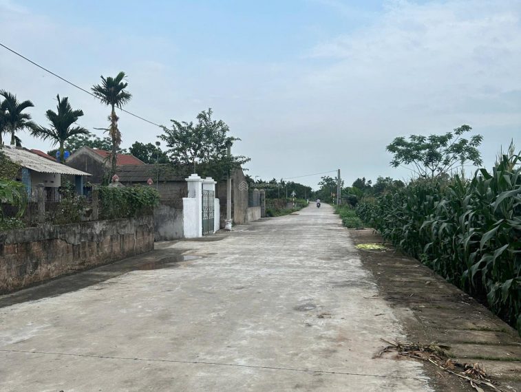 Bán ngay 373.1m2 đất mặt tiền 20m tách thửa đẹp tại Tống Trân, Phù Cừ, Hưng Yên