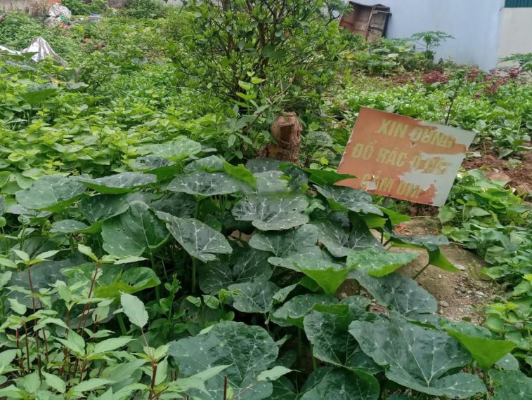 Bán 159.5m2 đất Nghĩa Trụ Văn Giang gần Vin 2,3 gần Vành đai 3.5