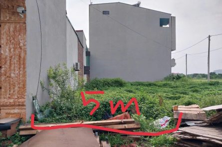 Bán lô đấu giá 78.2 m² và 92m² tại Ngải Dương, Đình Dù, Văn Lâm sát KCN Phố Nối A đầy tiềm năng phát triển