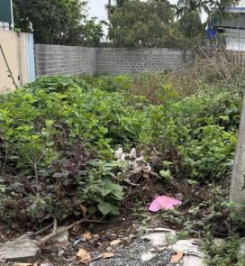21tr/m2 (bao sổ) chính chủ - đường 4m ô tô vào tận đất. Quanh khu đông dân, văn hoá, tiện ích