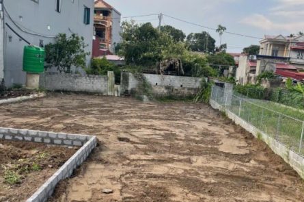 Bán đất đấu giá Minh Tân, Phù Cừ
