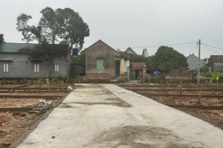 Bán đất Xã Tiên Tiến - Phù Cừ - Hưng Yên