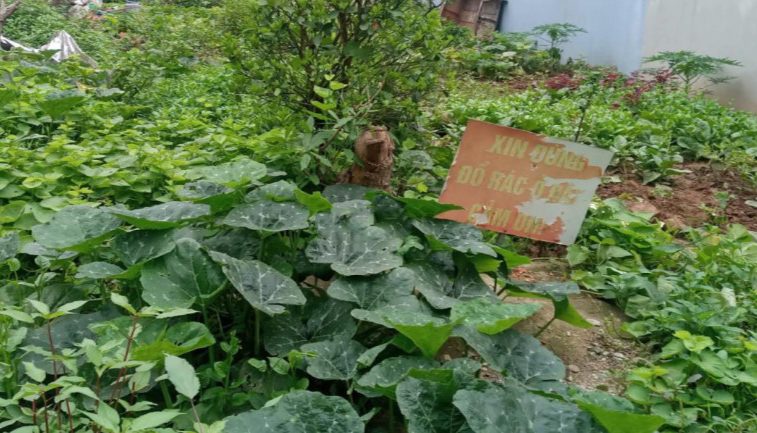 Bán 159.5m2 đất Nghĩa Trụ Văn Giang gần Vin 2,3 gần Vành đai 3.5