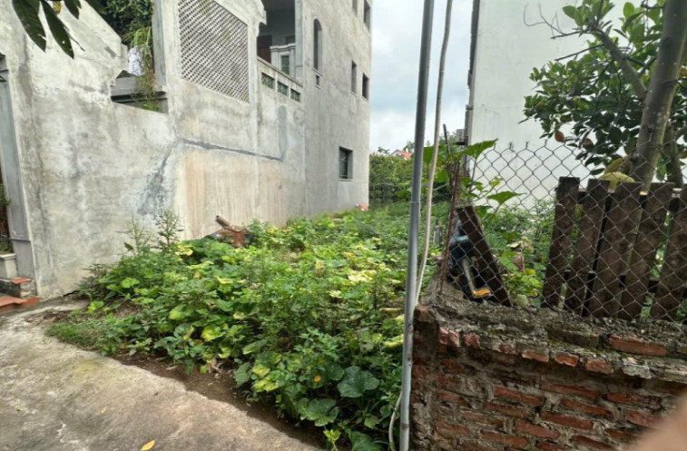 Bán đất Đan Kim, 2,964 tỷ, 76m2, mặt tiền 4,8m, ngõ 2m, pháp lý đầy đủ, ô tô đỗ cách 10m
