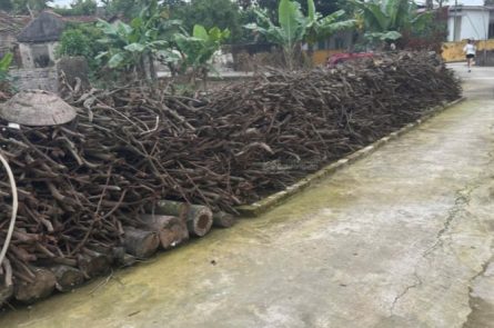 Bán đất thôn Hạ Đồng - Xã Nguyên Hoà - Phù Cừ - Hưng Yên