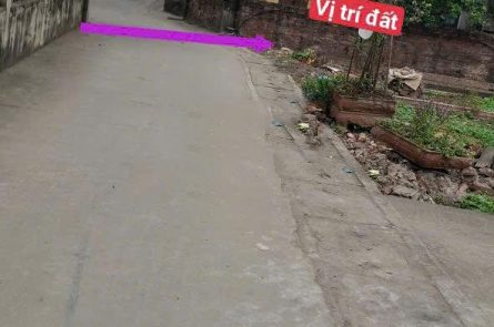n nhanh 81m 2 mặt tiền Hưng Long, Mỹ Hào, Hưng Yên. Đất nền Hưng Yên