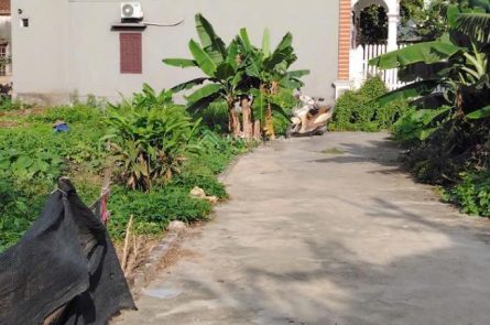 Bán lô góc 60m² Hoà Phong, Mỹ Hào – Đường ô tô, giá rẻ cho nhà đầu tư