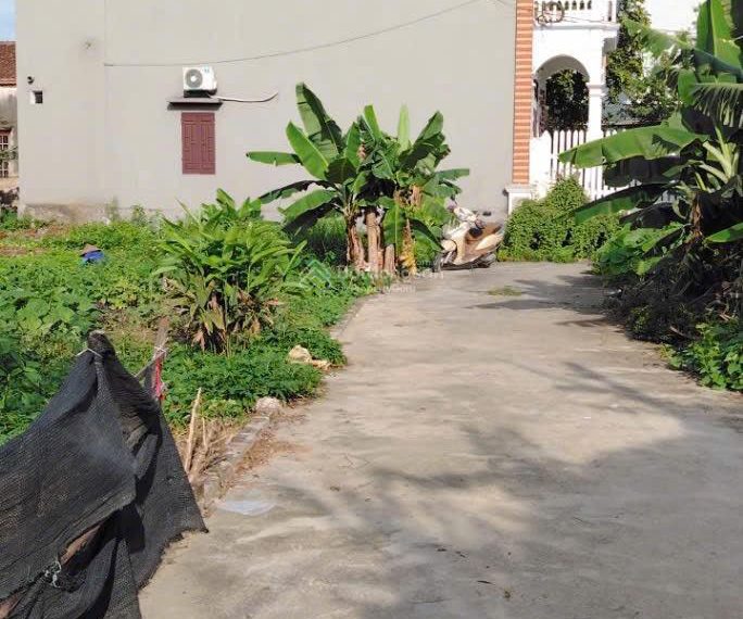 Bán lô góc 60m² Hoà Phong, Mỹ Hào – Đường ô tô, giá rẻ cho nhà đầu tư