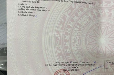 Bán đất nền 65.7 m2 tại thôn Phi Liệt, Xã Liên Nghĩa, Văn Giang, Hưng Yên chỉ với 31,5 triệu/m2