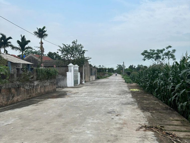 Bán 373.1m2 đất mặt tiền 20m tách thửa đẹp. Đất Tống Trân, Phù Cừ, Hưng Yên