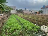 Cần bán mảnh đất 60m2 cách chợ Đông Tảo 200m giá đầu tư 1.190 tỷ