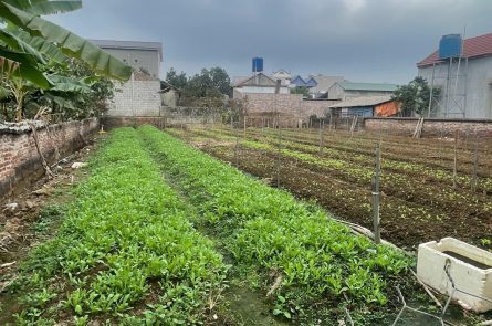 Cần bán mảnh đất 60m2 cách chợ Đông Tảo 200m giá đầu tư 1.190 tỷ