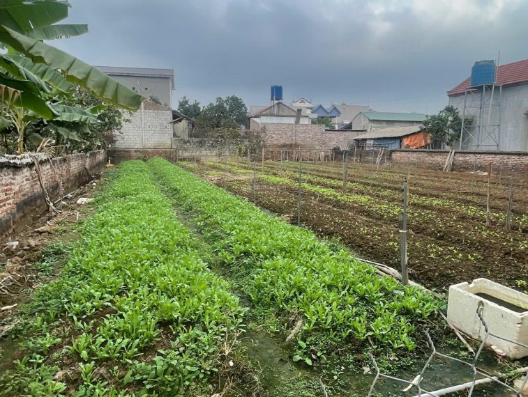 Cần bán mảnh đất 60m2 cách chợ Đông Tảo 200m giá đầu tư 1.190 tỷ
