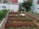 Bán 124.5 m2 đất thôn Đồng Chung Việt Hưng đường 5m thông cách khu đấu giá 200m