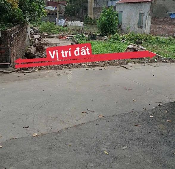 n nhanh 81m 2 mặt tiền Hưng Long, Mỹ Hào, Hưng Yên. Đất nền Hưng Yên
