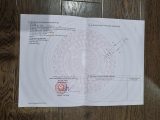 Bán đất tại Giai Phạm, Yên Mỹ, Hưng Yên, giá thỏa thuận, 255m2